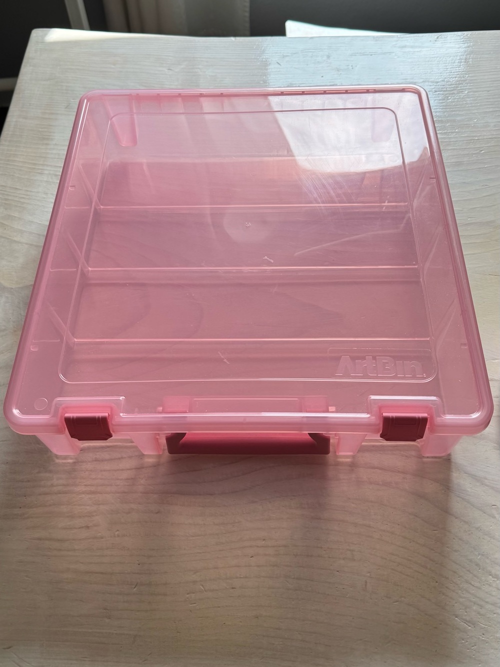 Pink Storage Case - Clear Pink Organizer